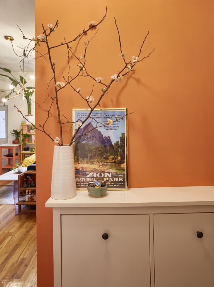 Liz Moody Colorful Brooklyn Apartment Photos | Apartment Therapy